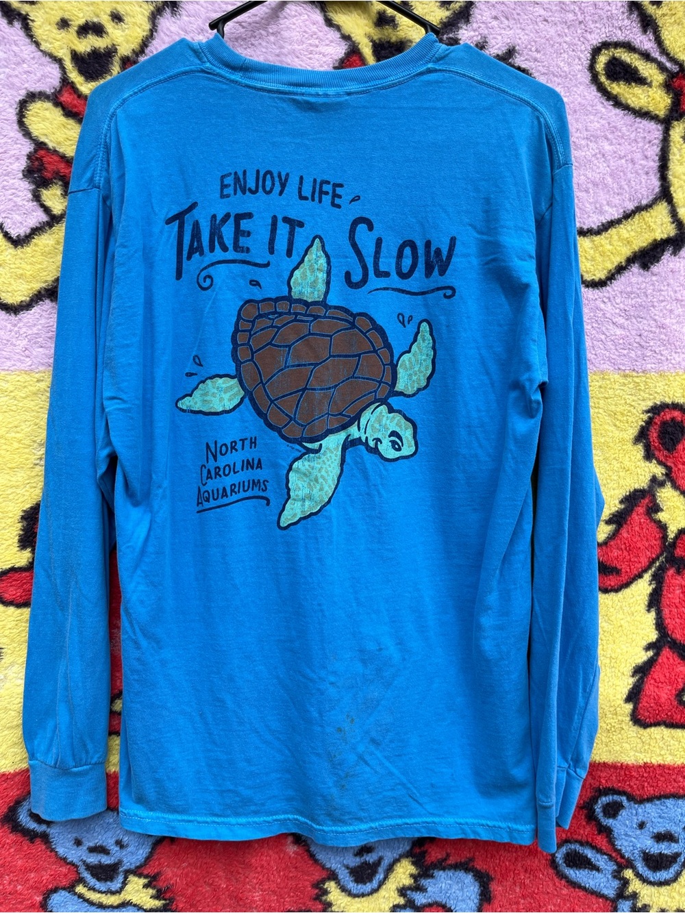 Comfort Colors Long Sleeve Tee - Bright Blue with Turtle Graphic